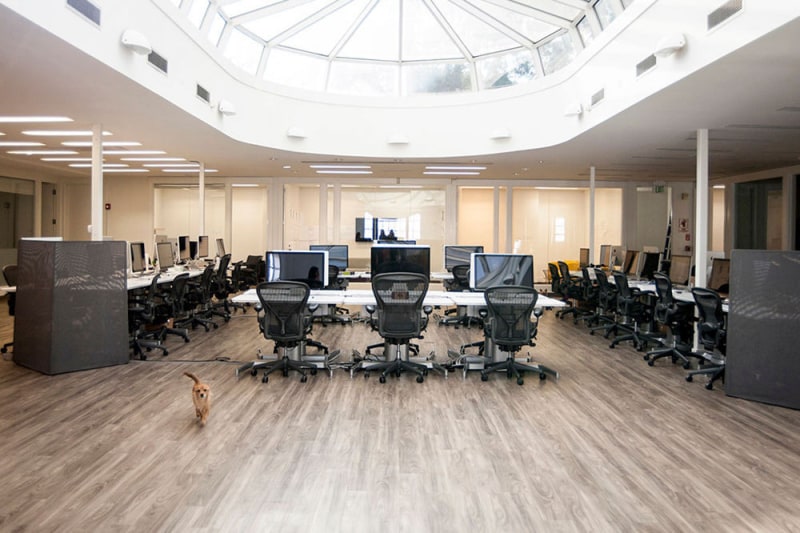 56211a412115afae3cafb9ca h1000 rkztfs