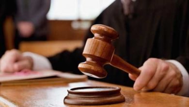 8141018056479542 1545816553 1545816558